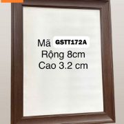 GSTT172A_08 (Copy)